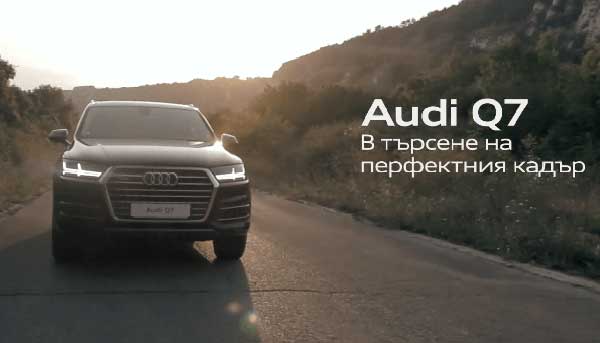 AUDI Cor Caroli / WEB Commercial